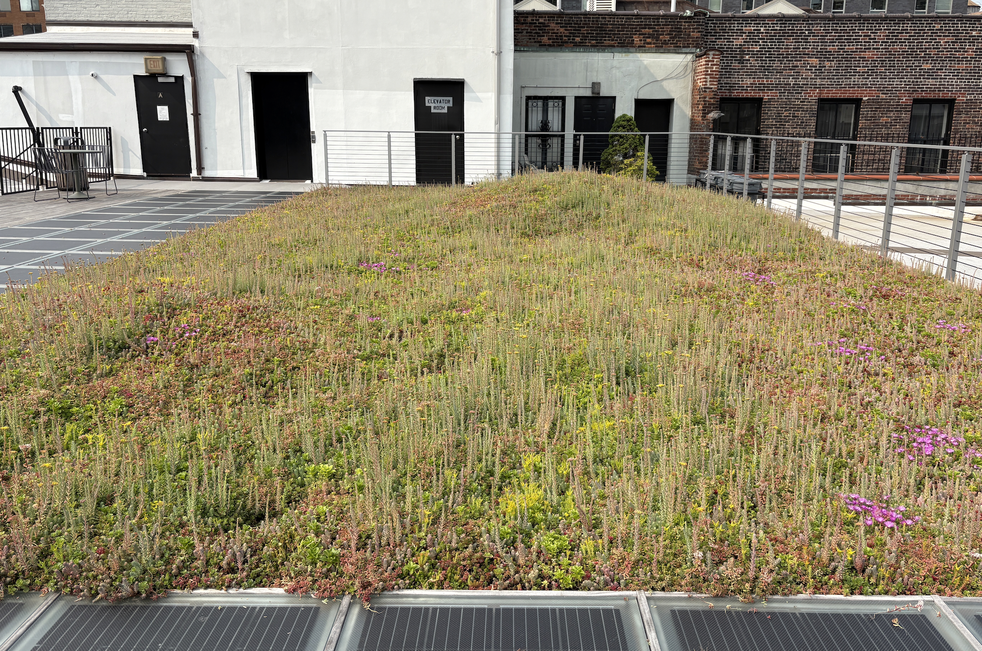 PLANTGROUP sustainable agriculture project